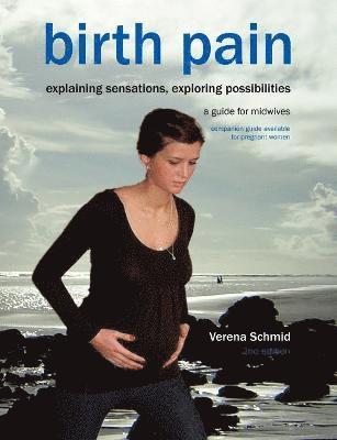 bokomslag Birth Pain: Explaining Sensations, Exploring Possibilities