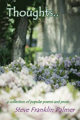 Steve Franklin Palmer - Thoughts, Häftad