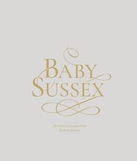 bokomslag Baby Sussex