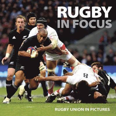 A Ammonite - Rugby in Focus, Häftad