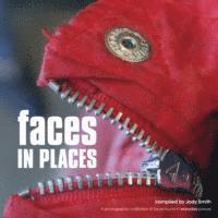 Faces in Places: Photos of Faces in Everyday Places 1