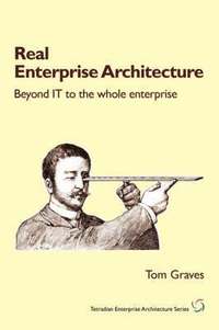 bokomslag Real Enterprise Architecture