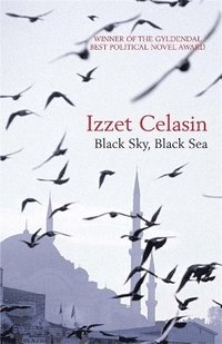 bokomslag Black Sky, Black Sea