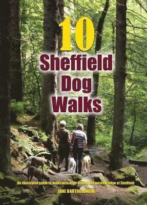 10 Sheffield Dog Walks