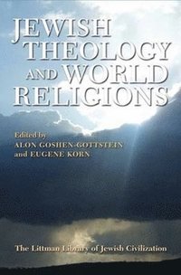bokomslag Jewish Theology and World Religions