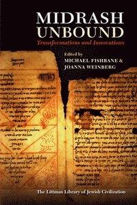 bokomslag Midrash Unbound