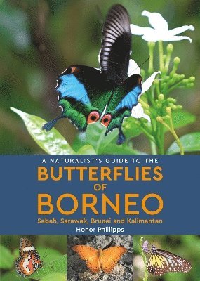 Honor Phillipps - Naturalist's Guide to the Butterflies of Borneo, Häftad