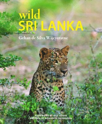 Wild Sri Lanka: Volume 3