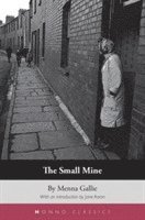 bokomslag The Small Mine