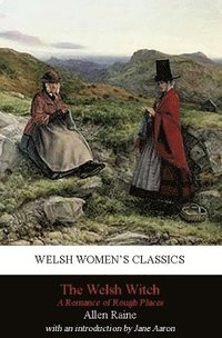 bokomslag A Welsh Witch