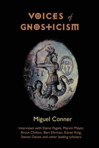 bokomslag Voices of Gnosticism