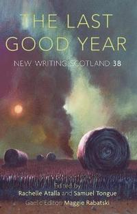 bokomslag The Last Good Year