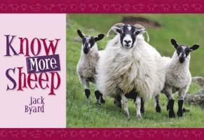 bokomslag Know More Sheep