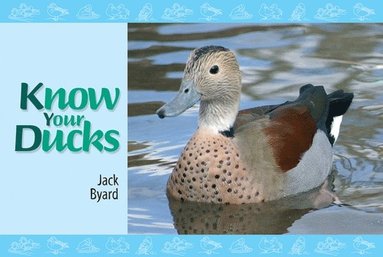 bokomslag Know Your Ducks