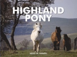 Heidi M. Sands - Spirit of the Highland Pony, Inbunden