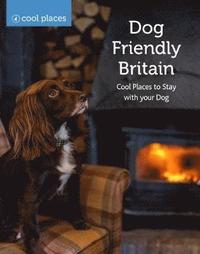 bokomslag Dog Friendly Britain