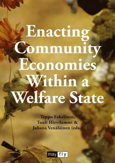 bokomslag Enacting Community Economies Within a Welfare State