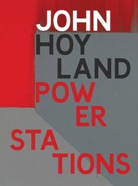 bokomslag John Hoyland: Power Stations