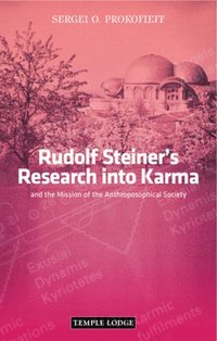 bokomslag Rudolf Steiner's Research into Karma