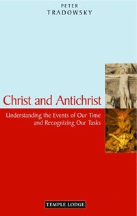 bokomslag Christ and Antichrist