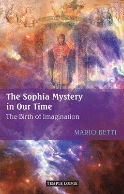 bokomslag The Sophia Mystery in Our Time