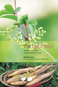 bokomslag The Light Root