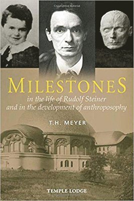 T. H. Meyer - Milestones, Häftad