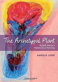 bokomslag The Archetypal Plant