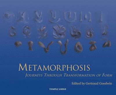 Metamorphosis 1