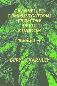bokomslag Channelled Teachings from the Devic Kingdom: Books 1-4