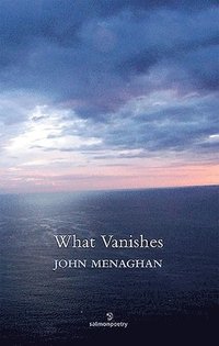 bokomslag What Vanishes