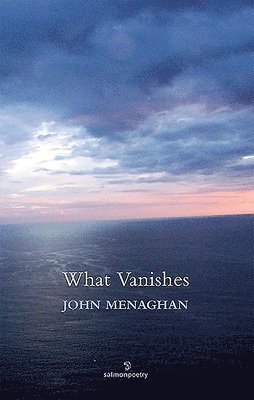 bokomslag What Vanishes
