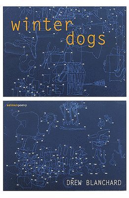 bokomslag Winter Dogs