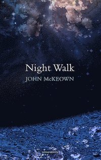 bokomslag Night Walk