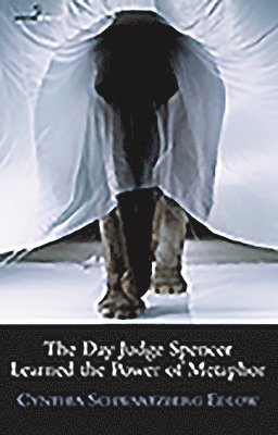 Cynthia Schwartzberg Edlow - Day Judge Spencer Learned the Power of Metaphor, Häftad
