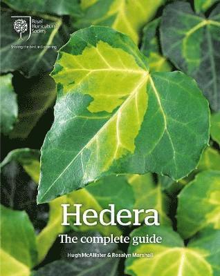 Hedera