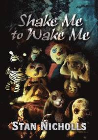 bokomslag Shake Me to Wake Me