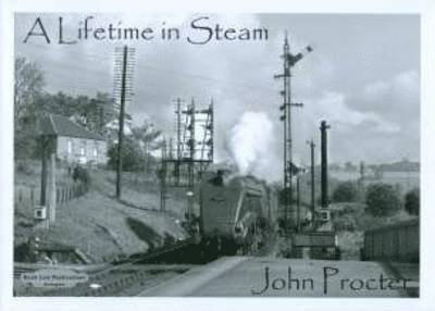 Lifetime in Steam