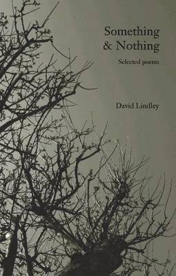 David Lindley - Something & Nothing, Häftad