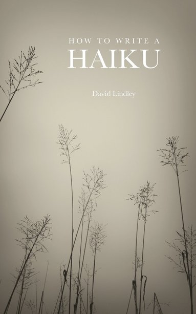 David Lindley - How to Write a Haiku, Häftad