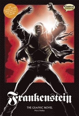 bokomslag Frankenstein the Graphic Novel: Original Text