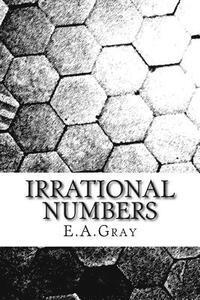 bokomslag Irrational Numbers