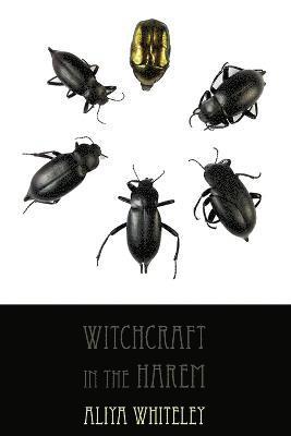 Aliya Whiteley - Witchcraft in the Harem, Häftad
