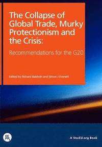 bokomslag The Collapse of Global Trade, Murky Protectionism, and the Crisis
