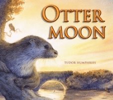 Otter Moon 1