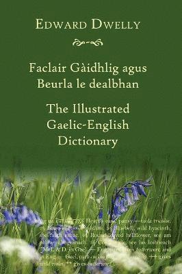 bokomslag Illustrated Gaelic - English Dictionary