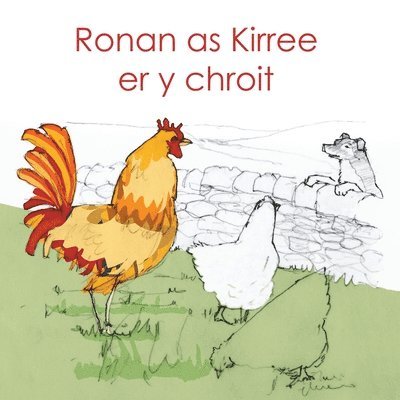 Michael Bauer - Ronan as Kirree er y chroit, Häftad