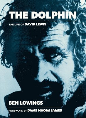 The The Dolphin 1