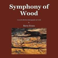 bokomslag Symphony of Wood