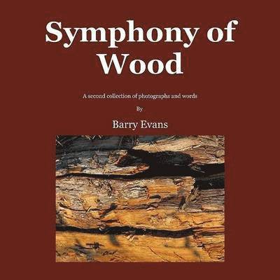 Symphony of Wood 1